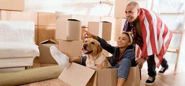 The Essentials for a Successful Pet Move What You Need to Know Before You Travel